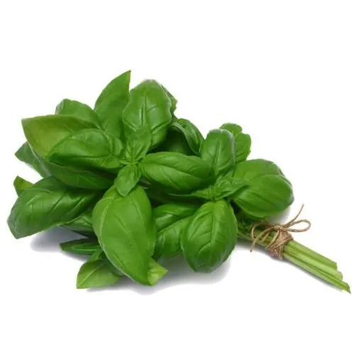 Sweet Basil seeds 100+Classical basil variety. Heirloom.