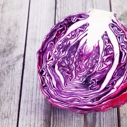 CABBAGE Red Acre seeds winter garden vegetable
