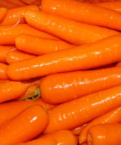 Carrot Seeds 'Nantes' Easy to Grow heirloom organic Fast delivery