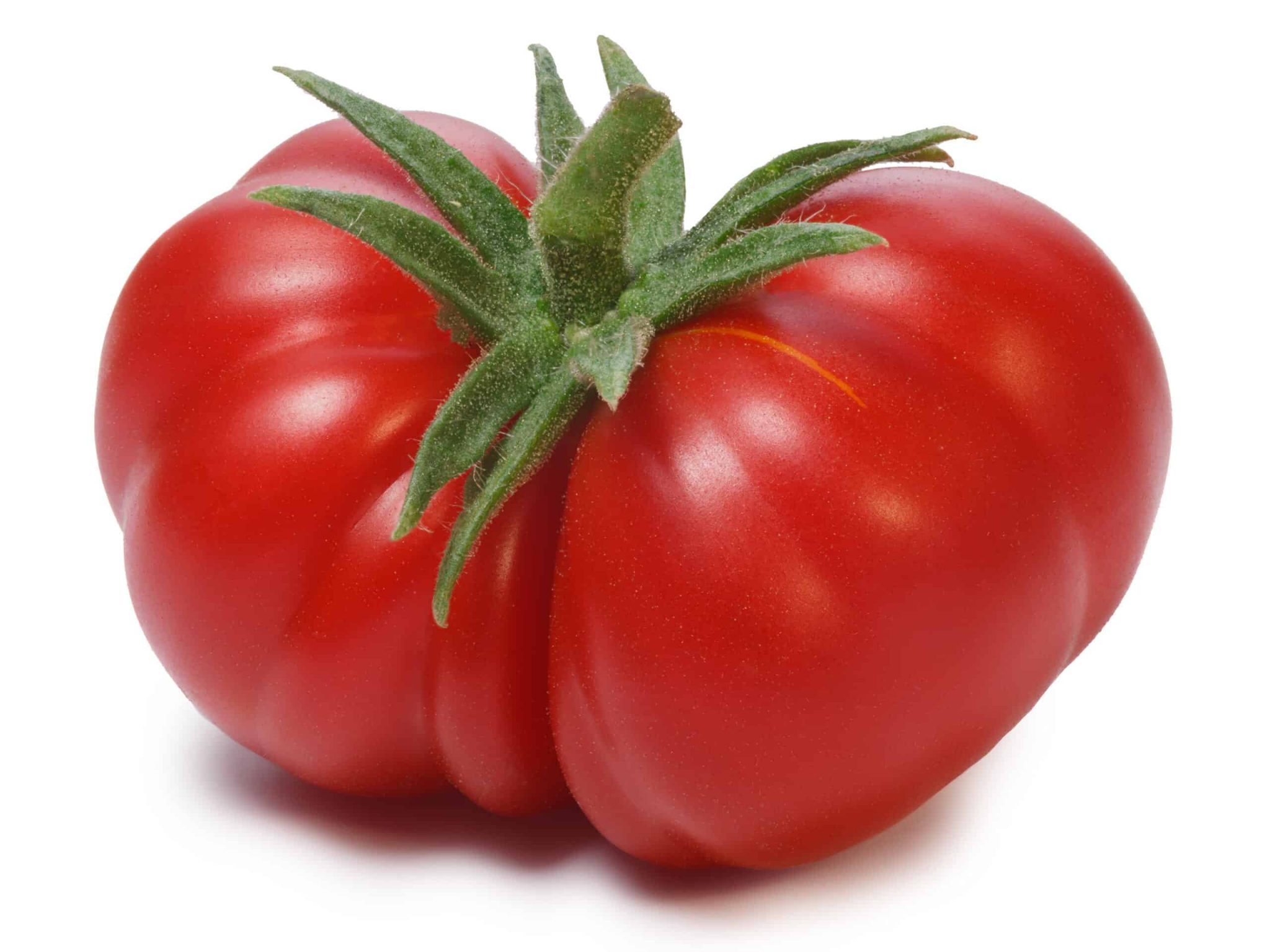 Beefsteak Organic Tomato seeds Herbs and Spices Australia