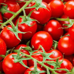 Tomato seeds