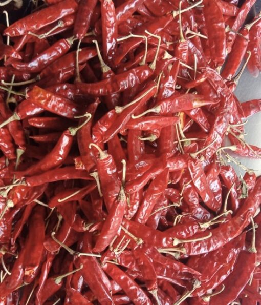 Dried Sanam chilli pods online