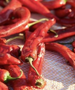 Dried Sanam chilli pods online