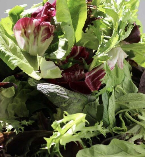 Summer salad herb mix online