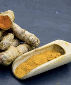 Turmeric fingers online