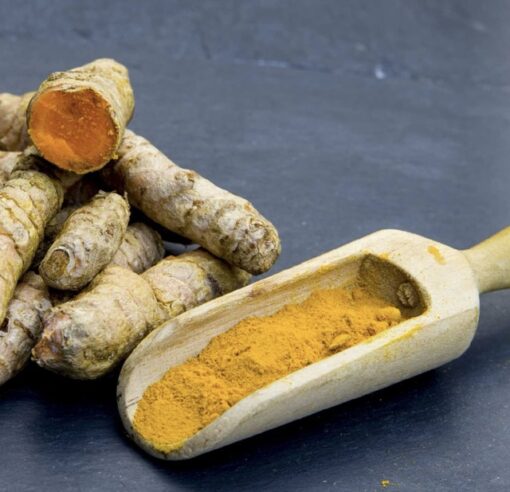 Turmeric fingers online