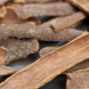 Vietnamese Cassia Bark onlilne