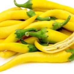 Chilli Seeds